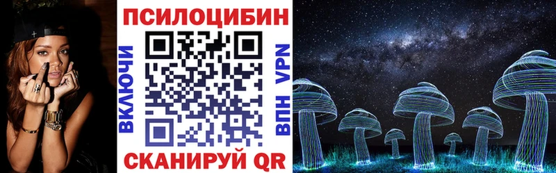 даркнет сайт  Александровск  Псилоцибиновые грибы Psilocybine cubensis 